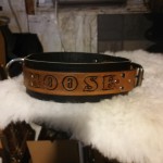 73403892_2439200009531470_5756679430017646592_n